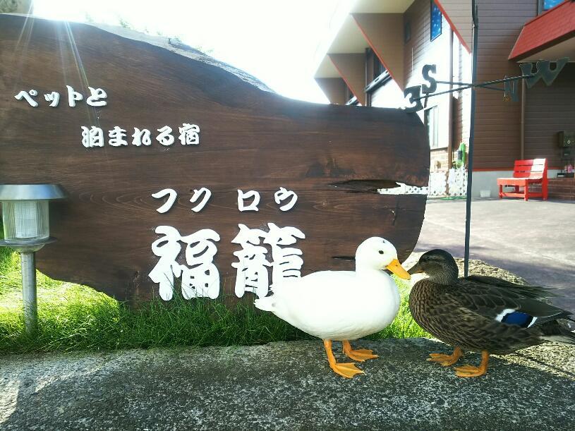 Fukurou Villa คุชิโมโตะ ภายนอก รูปภาพ